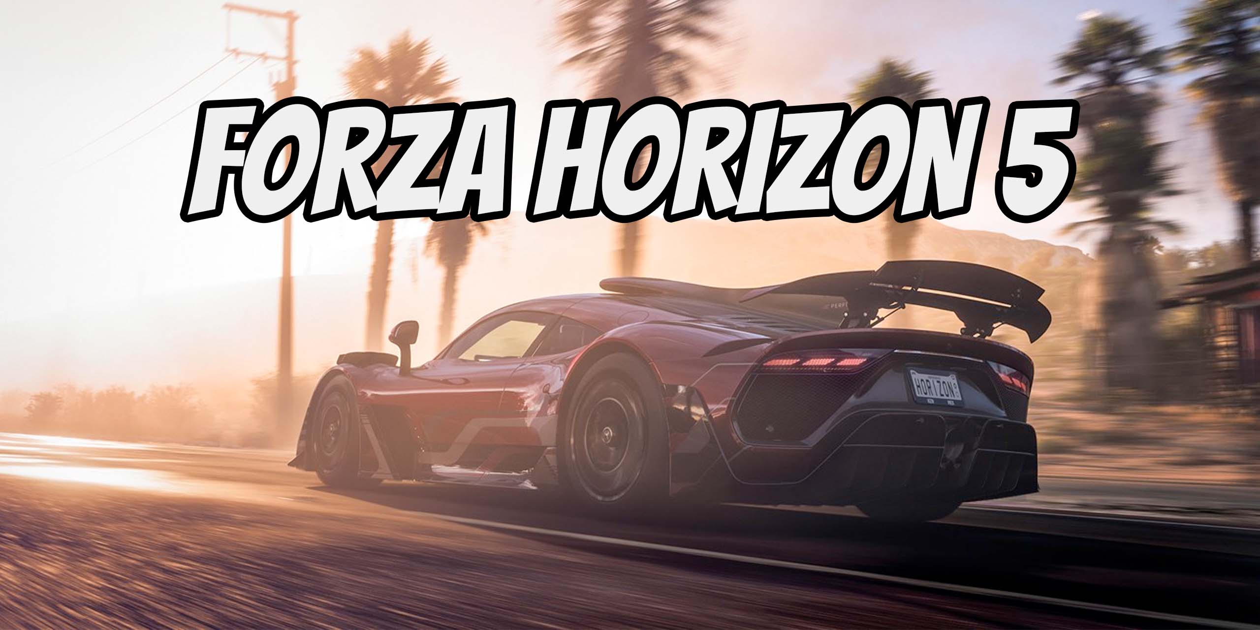 Forza Horizon 5: Which are supported?